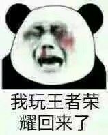 我玩王者荣耀回来了