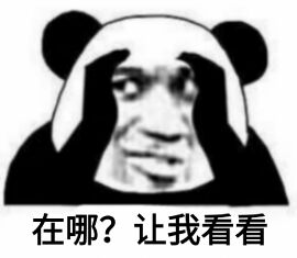 在哪？让我看看