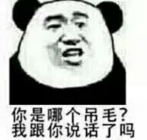 是哪个吊毛？跟你说话了吗