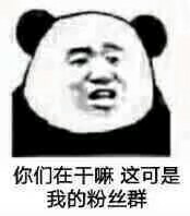 你们在干嘛，这可是我的粉丝群