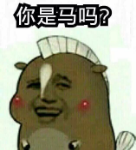 你是马吗