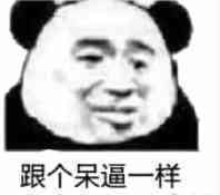 跟个呆逼一样