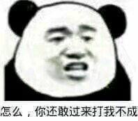 怎么，你还敢过来打我不成