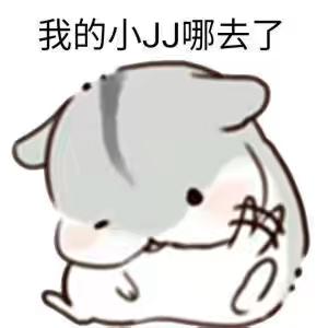 我的小JJ哪去了