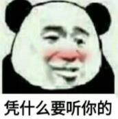 凭什么要听你的