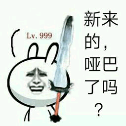 新来的，哑巴了吗？（lv.999）