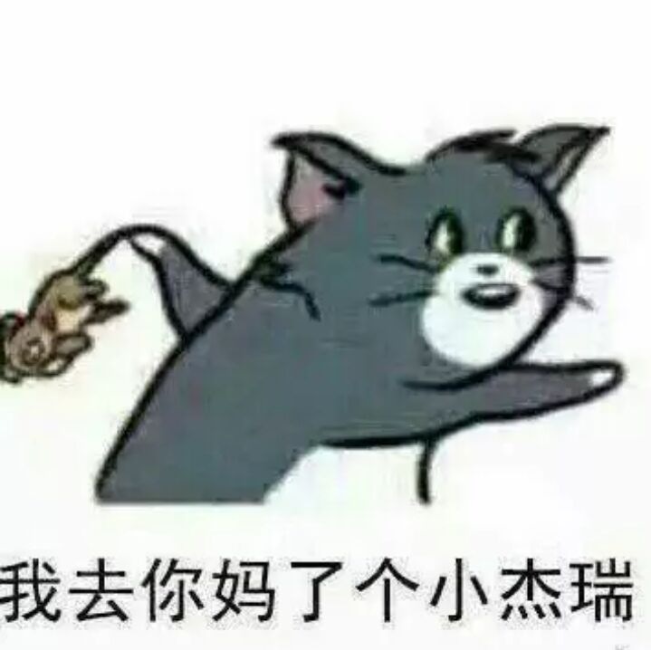 我去你妈了个小杰瑞