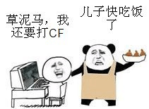 草泥马，我还要打CF，猴子快吃饭了