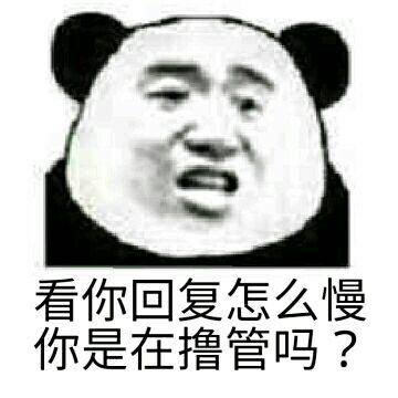 看你回复怎么慢，你是在撸管吗？