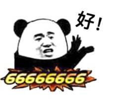 好6666666