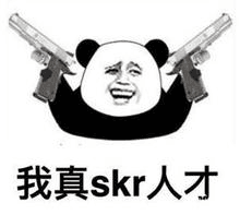 减会我真skr人才