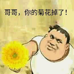 哥哥，你的菊花掉了！