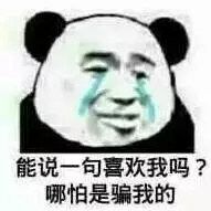 能说一句喜欢我吗？哪怕是骗我的