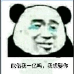 能借我一亿吗，我想娶你