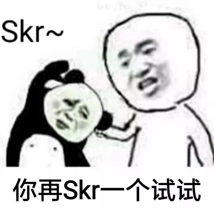 SKR你再SKR一个试试