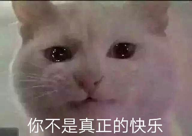 你不是真正的快乐