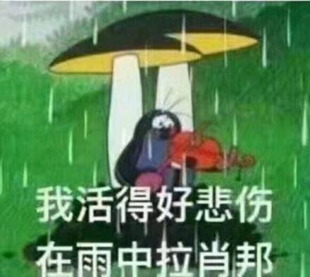 我活得好悲伤，在雨中拉肖邦