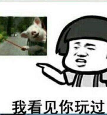 我看见你玩过