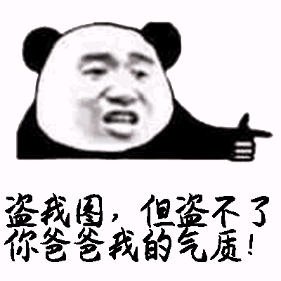 盗我图，但查不了你爸爸我的气质！