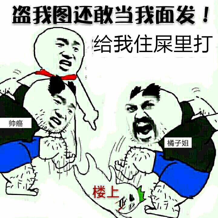 盗我图还敢当我面发！给我住屎里打