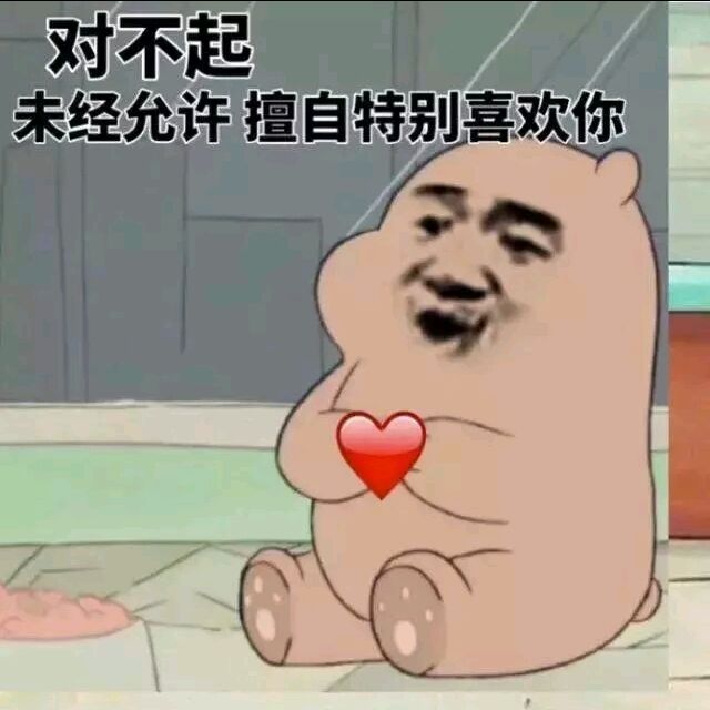 对不起未经允许擅自特别喜欢你