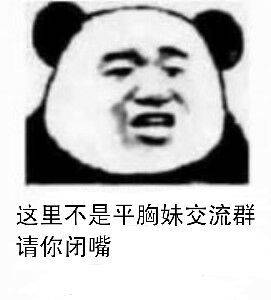 这里不是平胸妹交流群，请你闭嘴