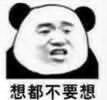 想都不要想