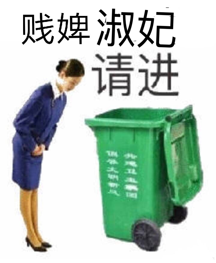 贱婢淑妃请进