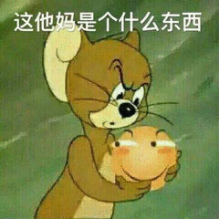 这他妈是个什么东西