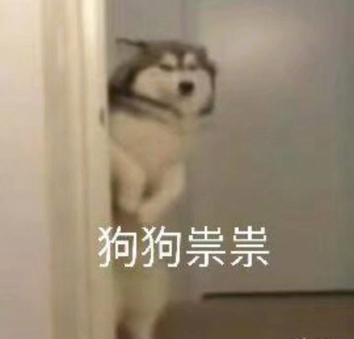 狗狗祟祟