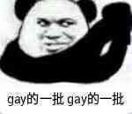 gay的一批，gay的一批