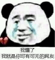 我懂了，我就是你可有可无的网友