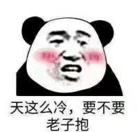 天这么冷，要不要老子抱