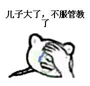 儿子大了，不服管教了