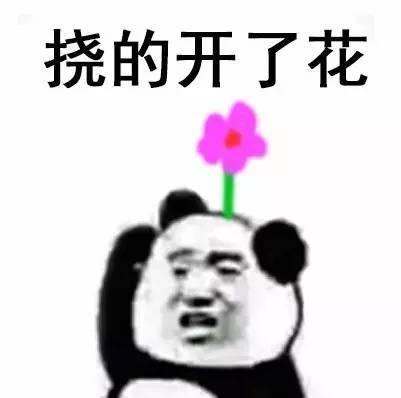 挠的开了花