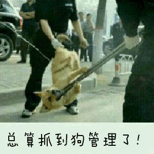 总算抓到狗管理了！