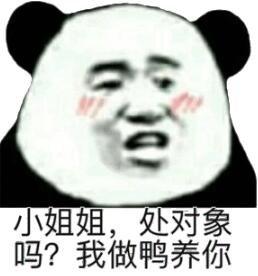 小姐姐，处对象吗？我做鸭养你