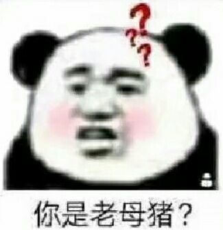 你是老母猪？