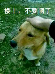 楼上，不要闹了