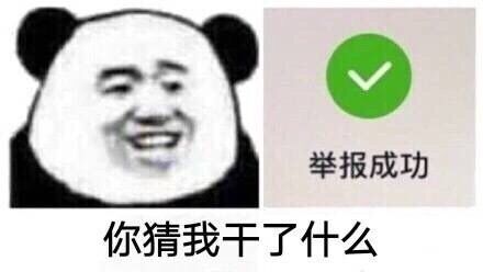 你猜我干了什么？