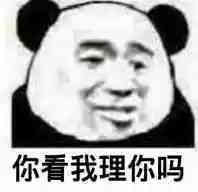 你看我理你吗