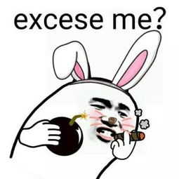 excese me?