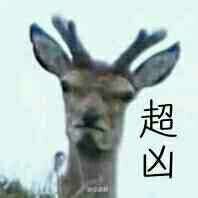 超凶