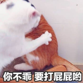 你不乖要打屁屁哟