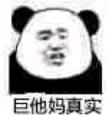 巨他妈真实