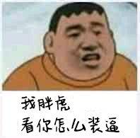 我胖看你怎么装逼