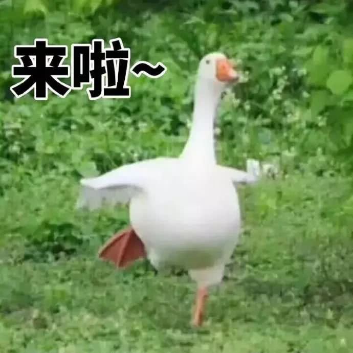 来啦