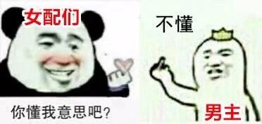 女配们，不懂你懂我意思吧？男主