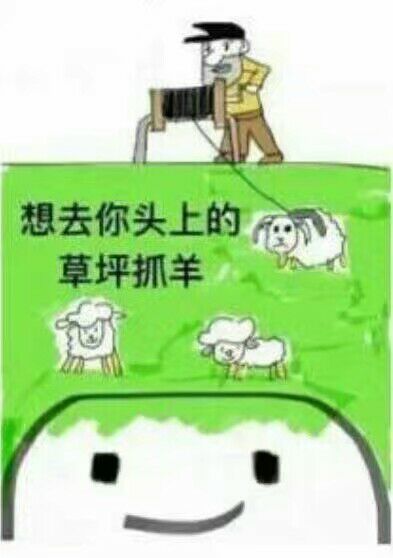 想去你头上的草坪抓羊