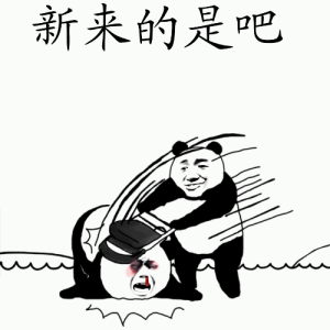 新来的是吧